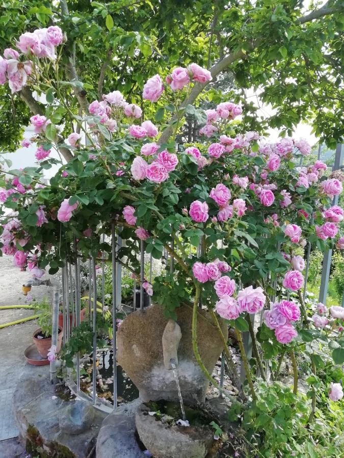 Cit Ni Bed and Breakfast Bosia Buitenkant foto
