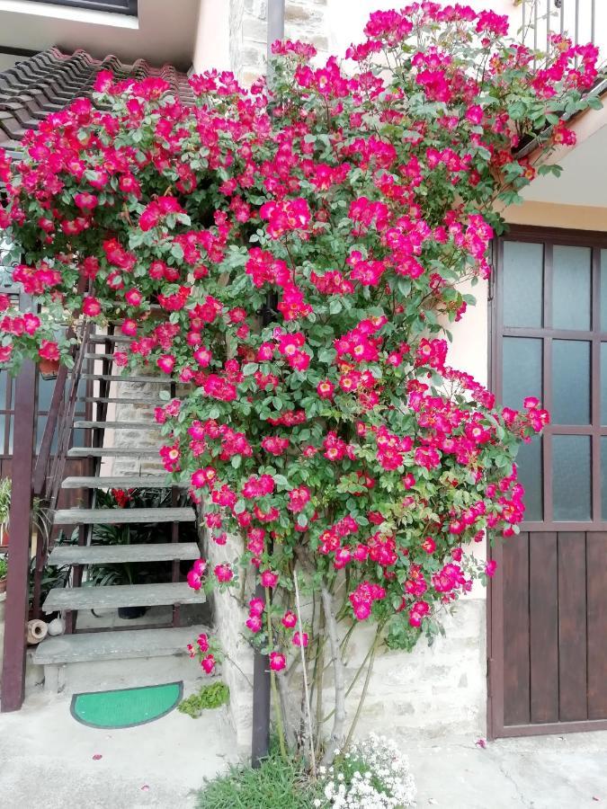 Cit Ni Bed and Breakfast Bosia Buitenkant foto